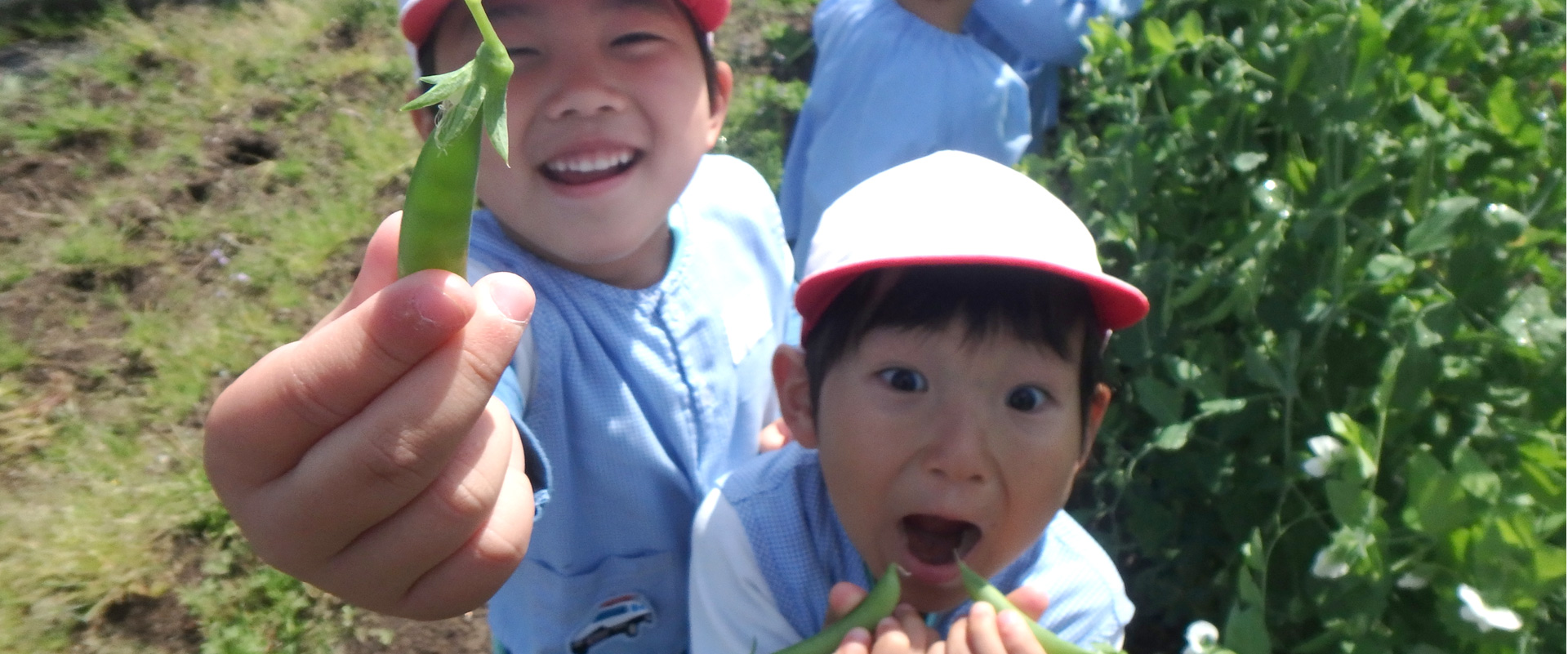 福島幼稚園