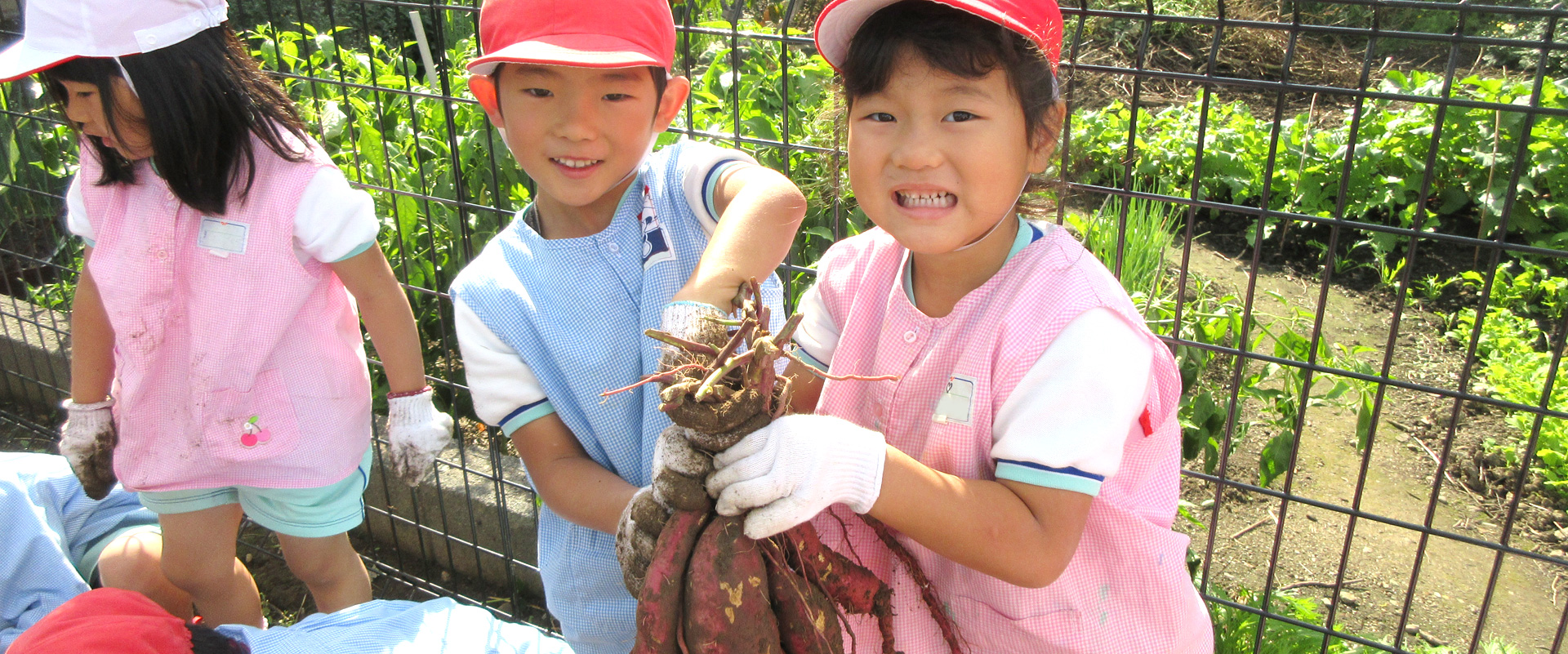 福島幼稚園